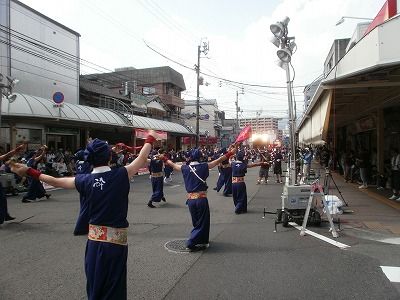 P8110098