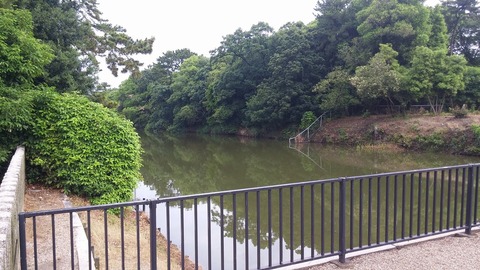 20170602_073416