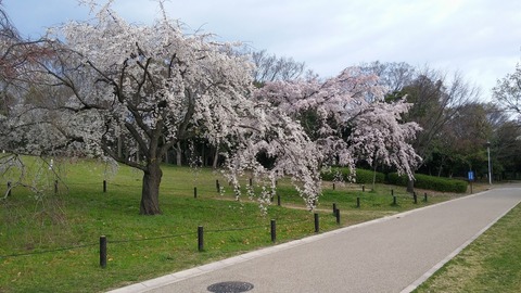 20170406_074115