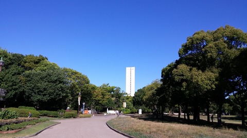 20170804_073812