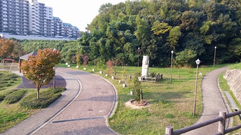 20171105_080806