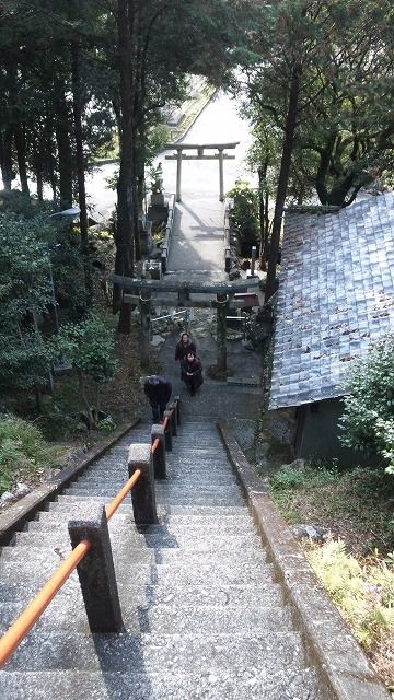 元旦 (3)