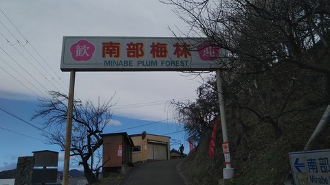 KIMG6938