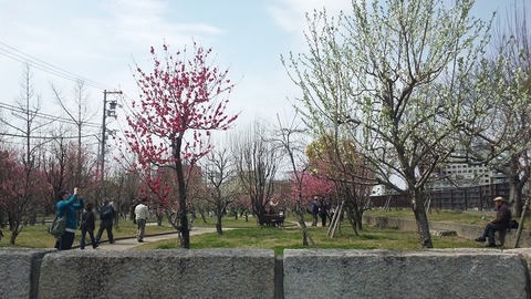 PAP_0005