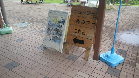 20170629_122033