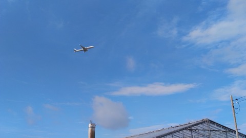 KIMG3629