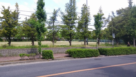 20170603_091047