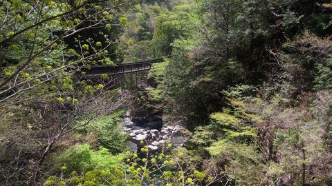 20170504_121453