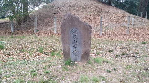 20170306_074250