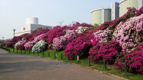 20170501_072827