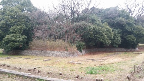 20170306_080831