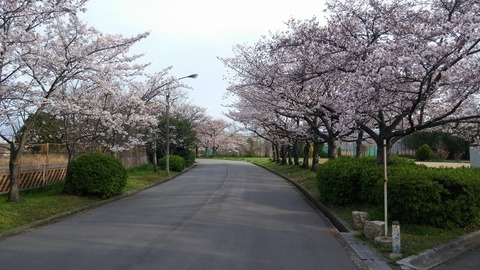 20170406_072424