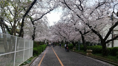 20170409_123349