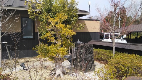 KIMG2489
