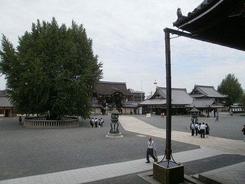 P6030025