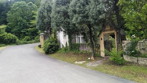KIMG8331