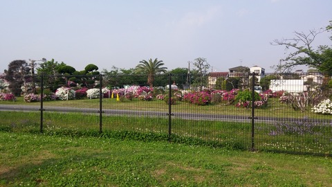 20170501_072440