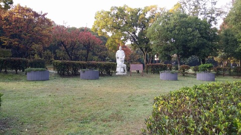 20171115_082021