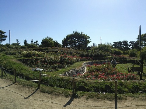 ６月１２日　浜寺公園 (3)