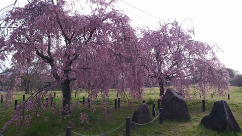 20170406_073927