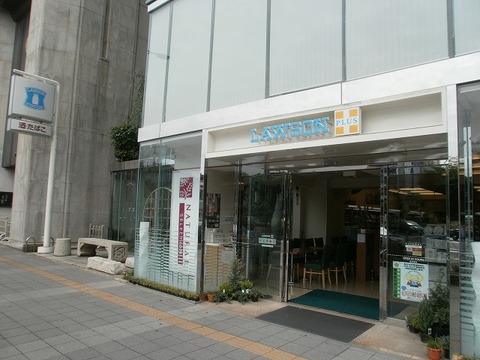 P6030029