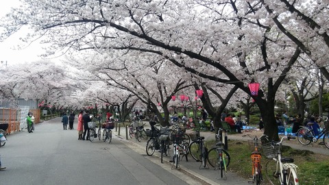 20170409_123054