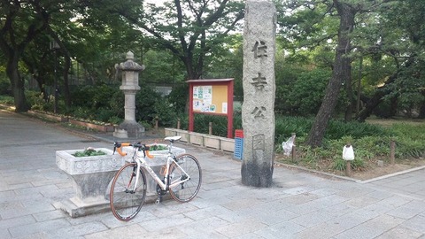 ６月１５日 (29)