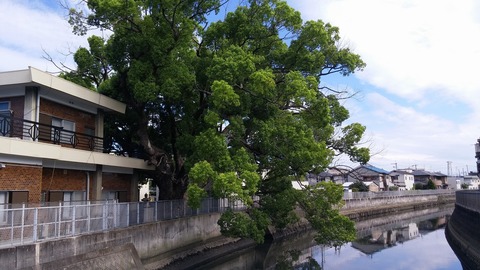20170831_083749