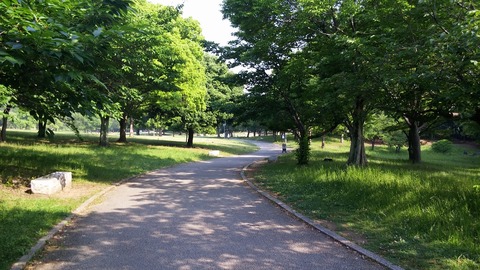 20170530_075447