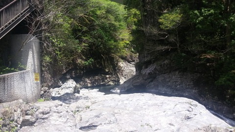 20170504_120951