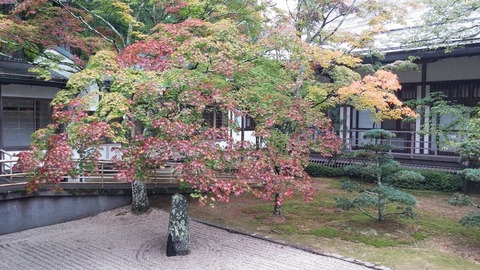 20171020_131804