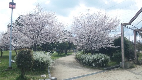 ４月６日 (14)