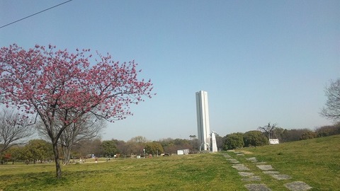４月２日 (14)