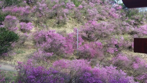20170418_153941