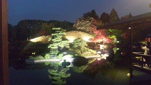 １１月２３日 (4)
