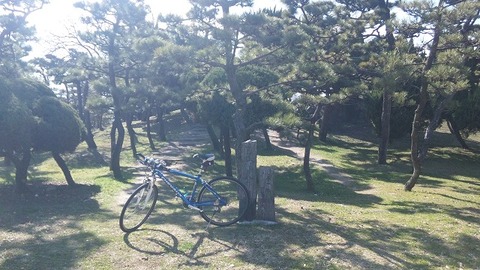 ２月２４日 (2)