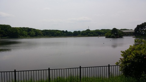20170514_104212