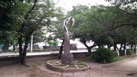 20170709_081223