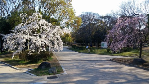 20170403_075121