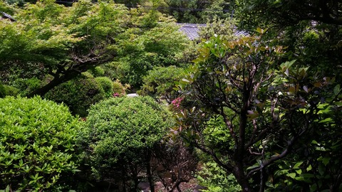 20170606_133544