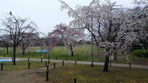 20170401_080116