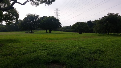 20170810_080818