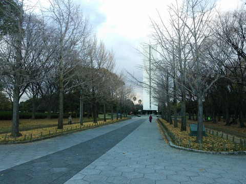 １２月１２日 (2)