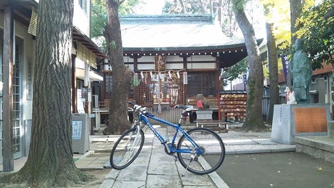 １２月３日 (12)
