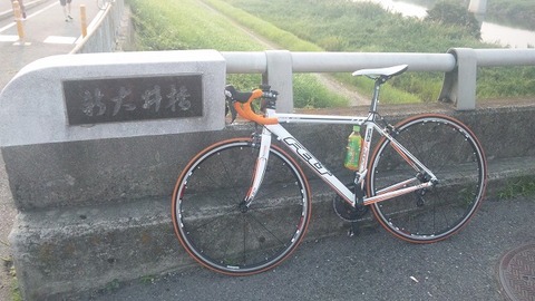７月２９日　大和川沿い (7)