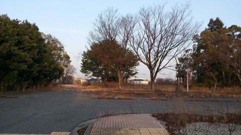 20170305_065657