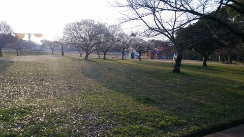 20170308_073849