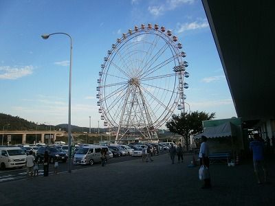 P8110041