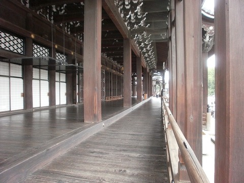 P6030019