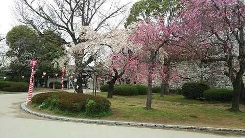３月２９日　大阪城まで (11)